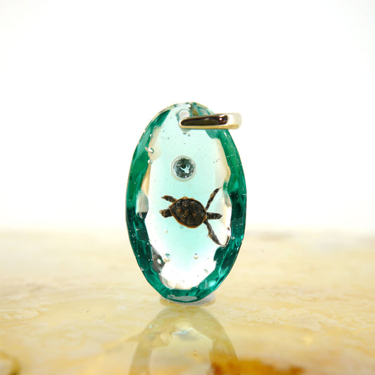 アオウミガメ（turtle186）