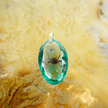 Green sea turtle (turtle186)