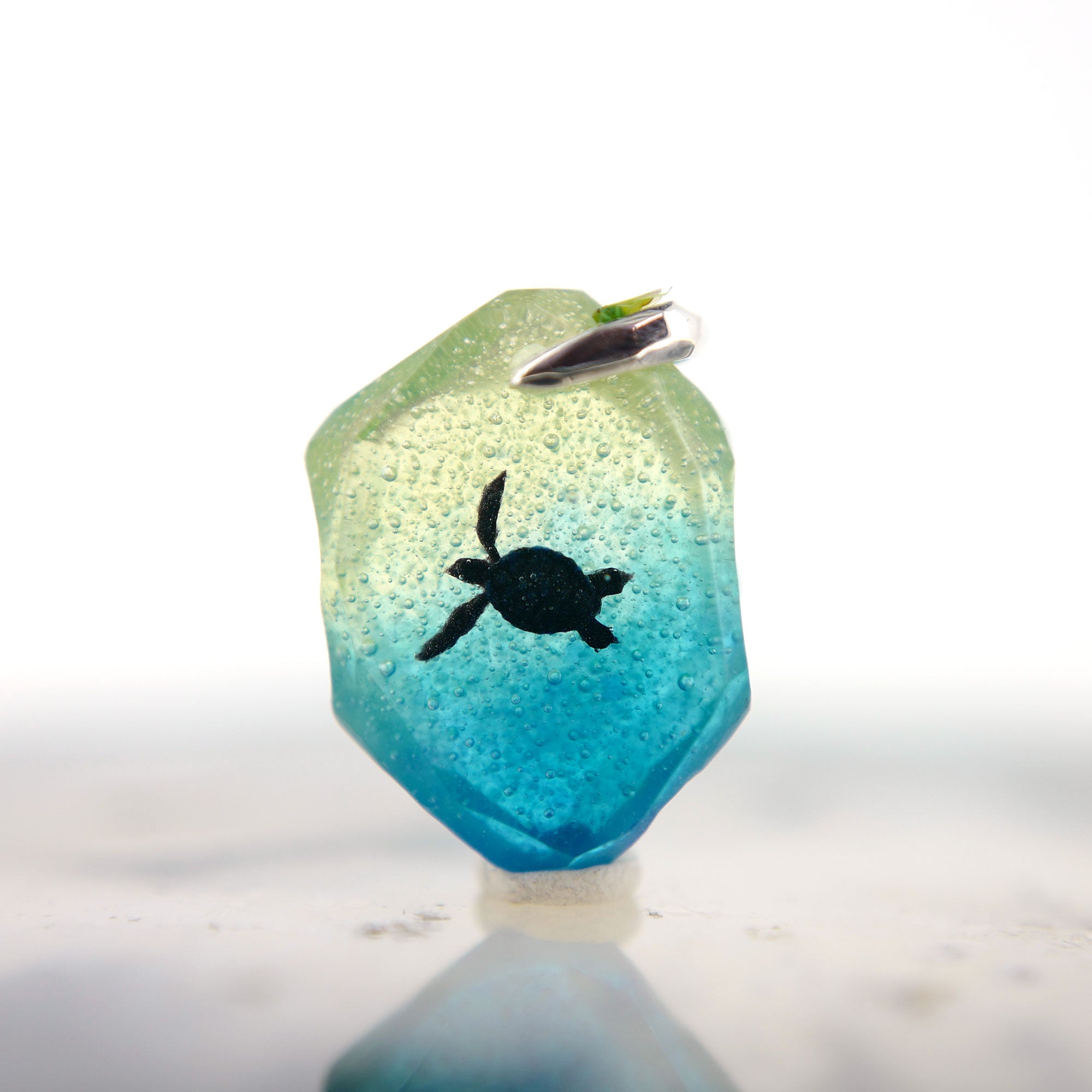 アオウミガメ（turtle197）