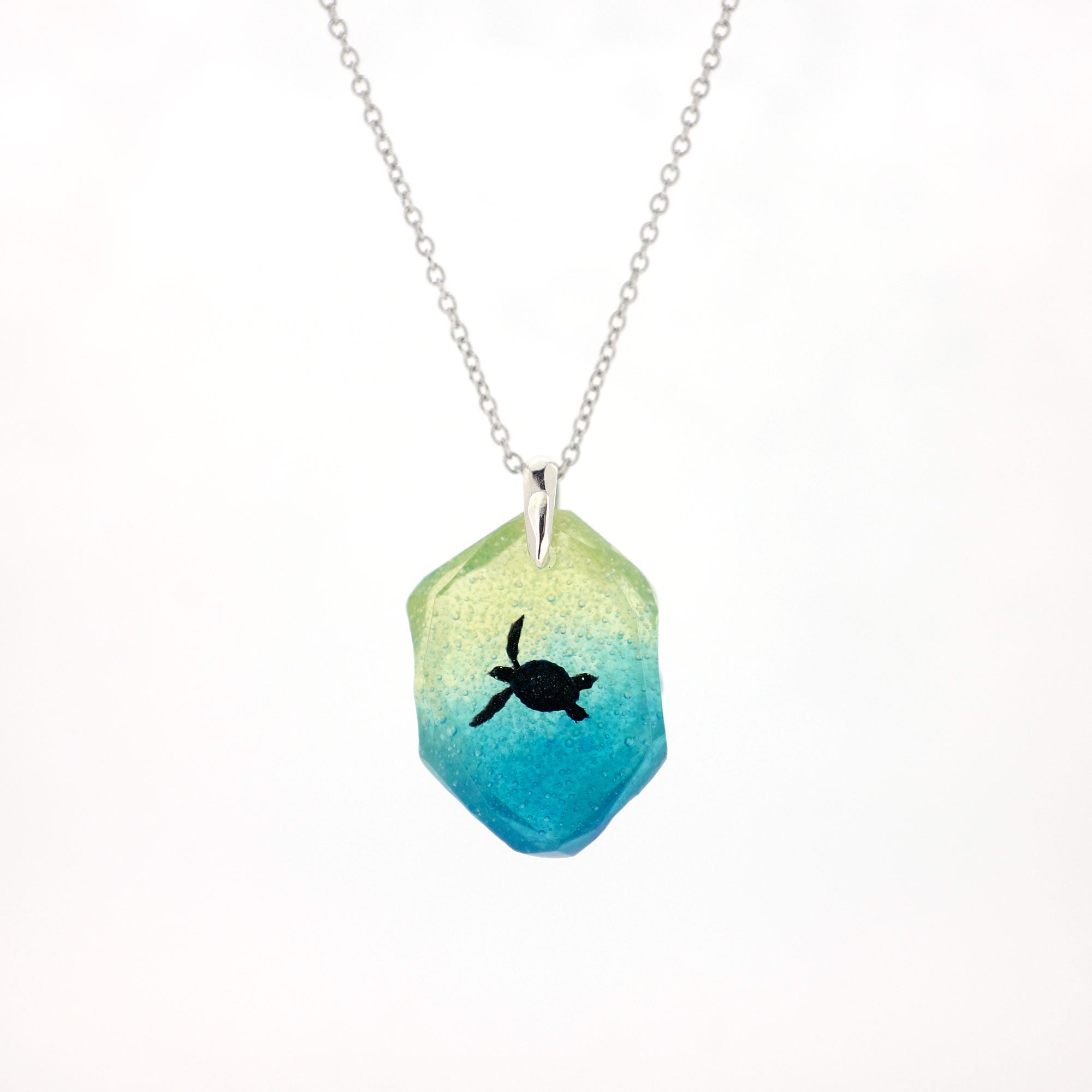 アオウミガメ（turtle197）