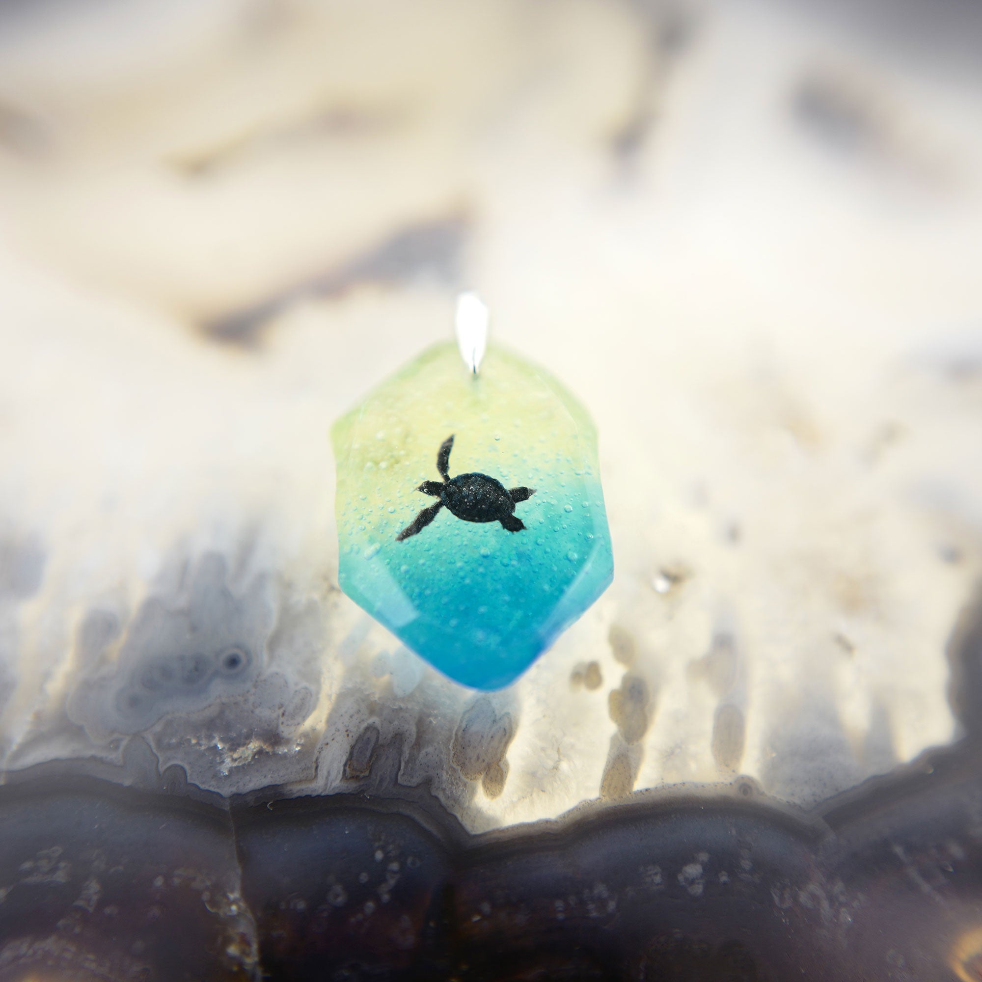 アオウミガメ（turtle197）