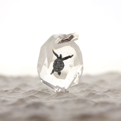 アオウミガメ（turtle201）