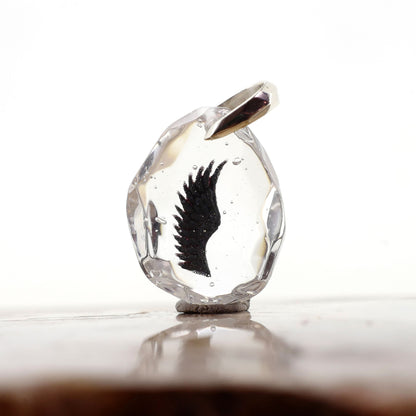 Wings (wing027)