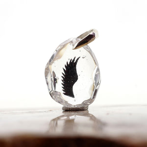 Wings (wing027)