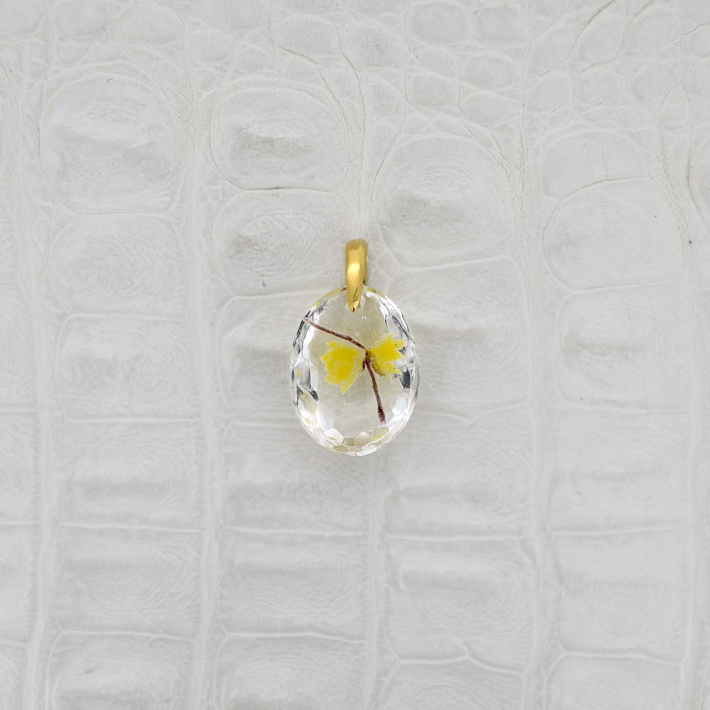 Wintersweet (winter sweet005)