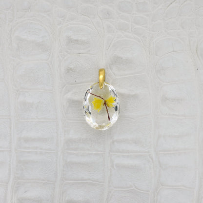 Wintersweet (winter sweet005)