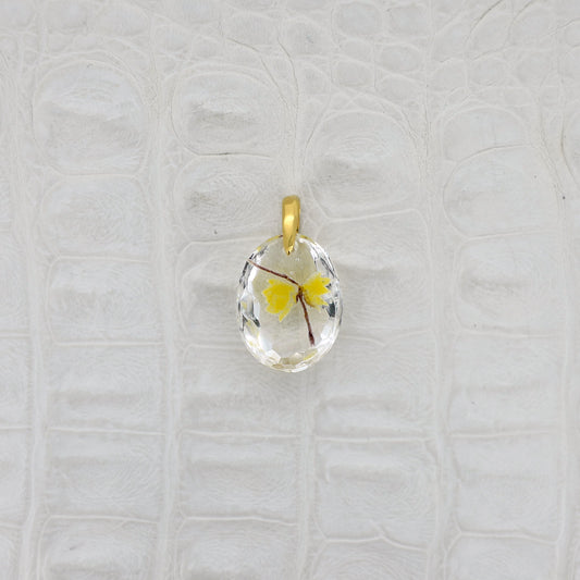 Wintersweet (winter sweet005)
