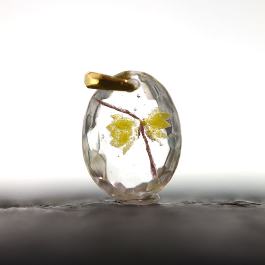 Wintersweet (winter sweet005)