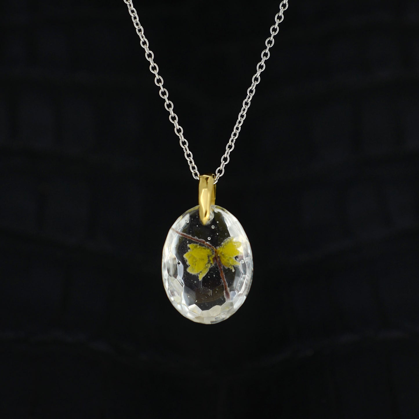 Wintersweet (winter sweet005)