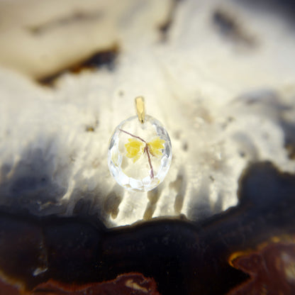Wintersweet (winter sweet005)