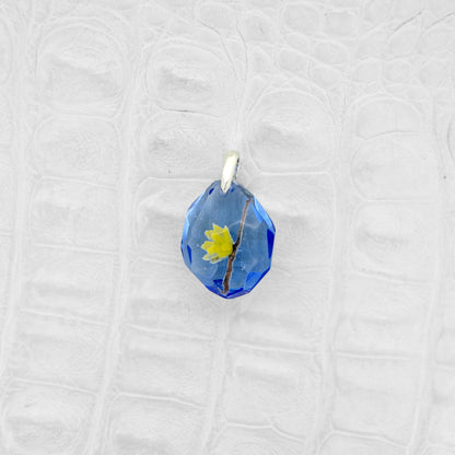 Wintersweet (winter sweet006)