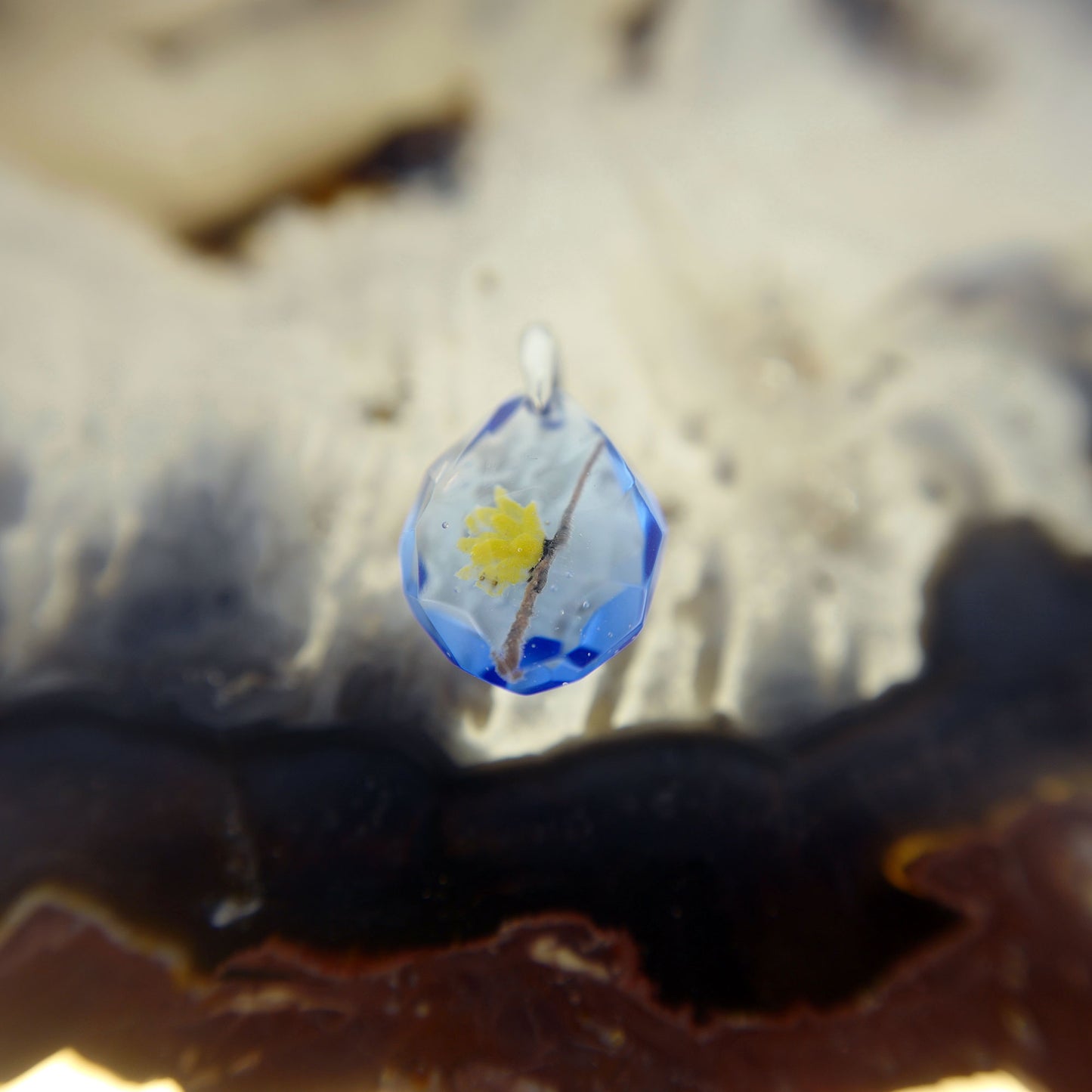 Wintersweet (winter sweet006)