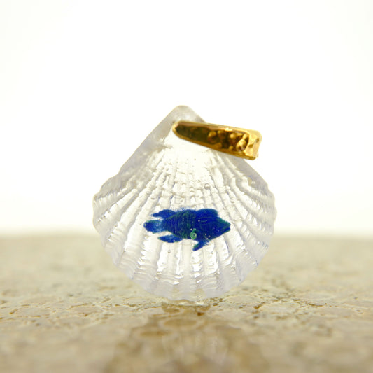 Napoleon fish (wrasse014)