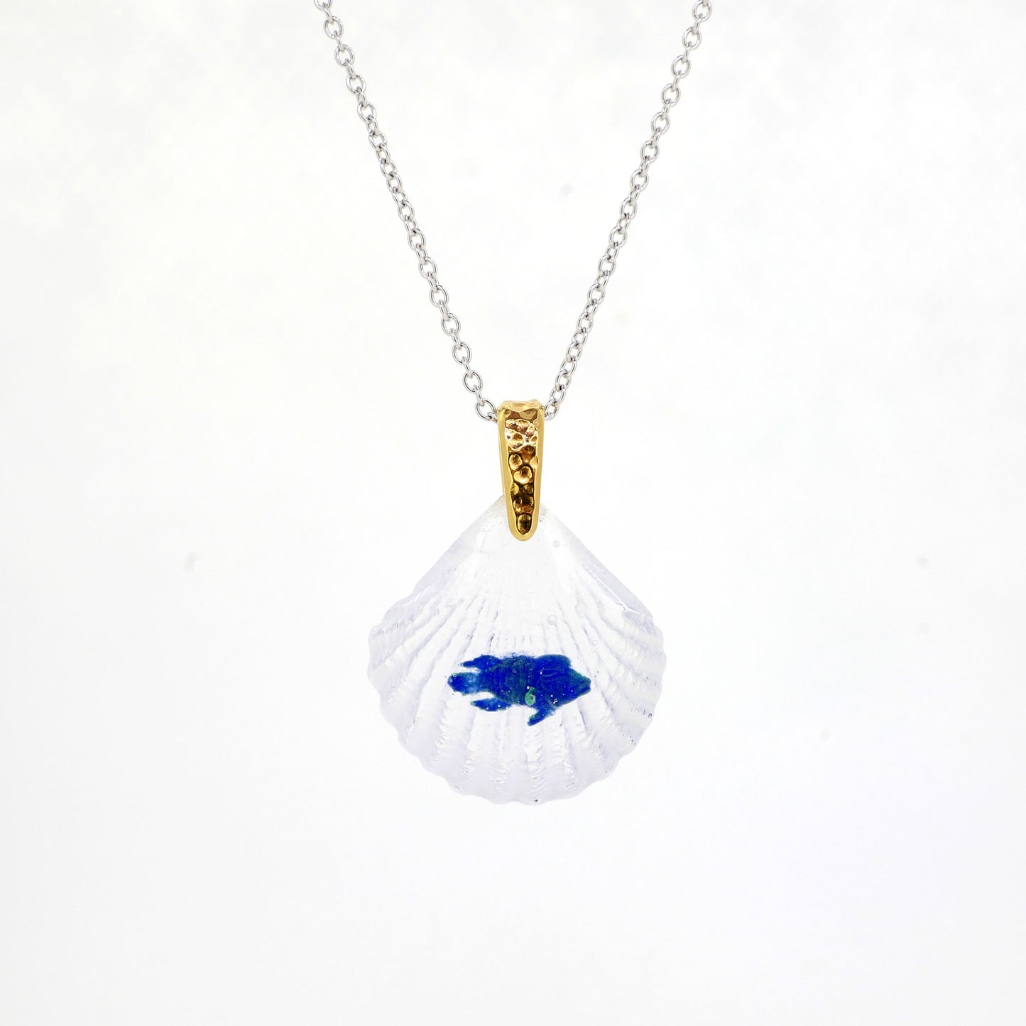Napoleon fish (wrasse014)