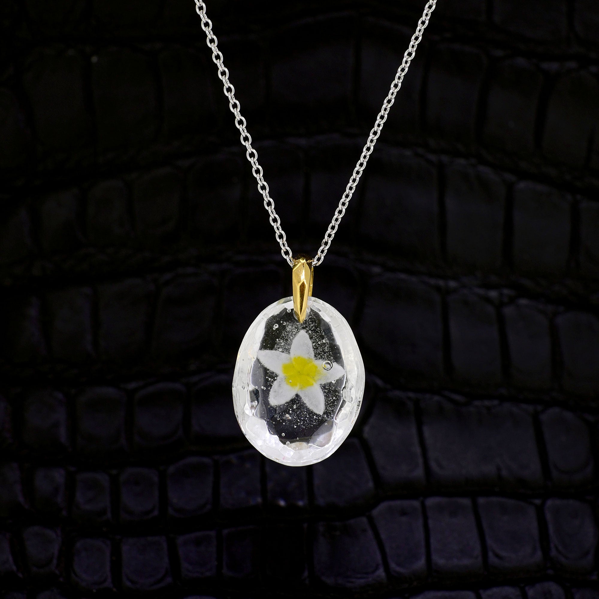 Plumeria (plumeria083)