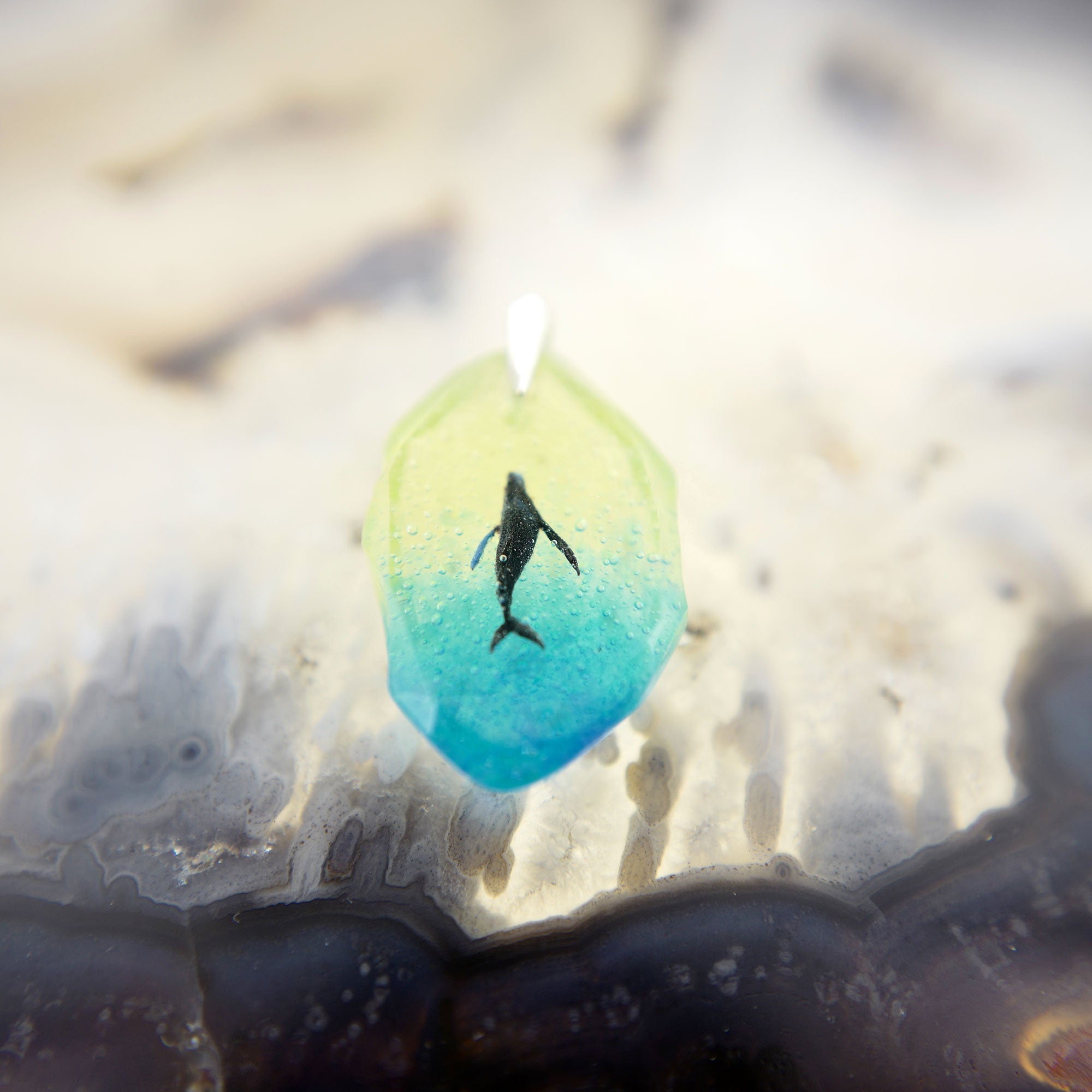 Humpback whale (zatou184)