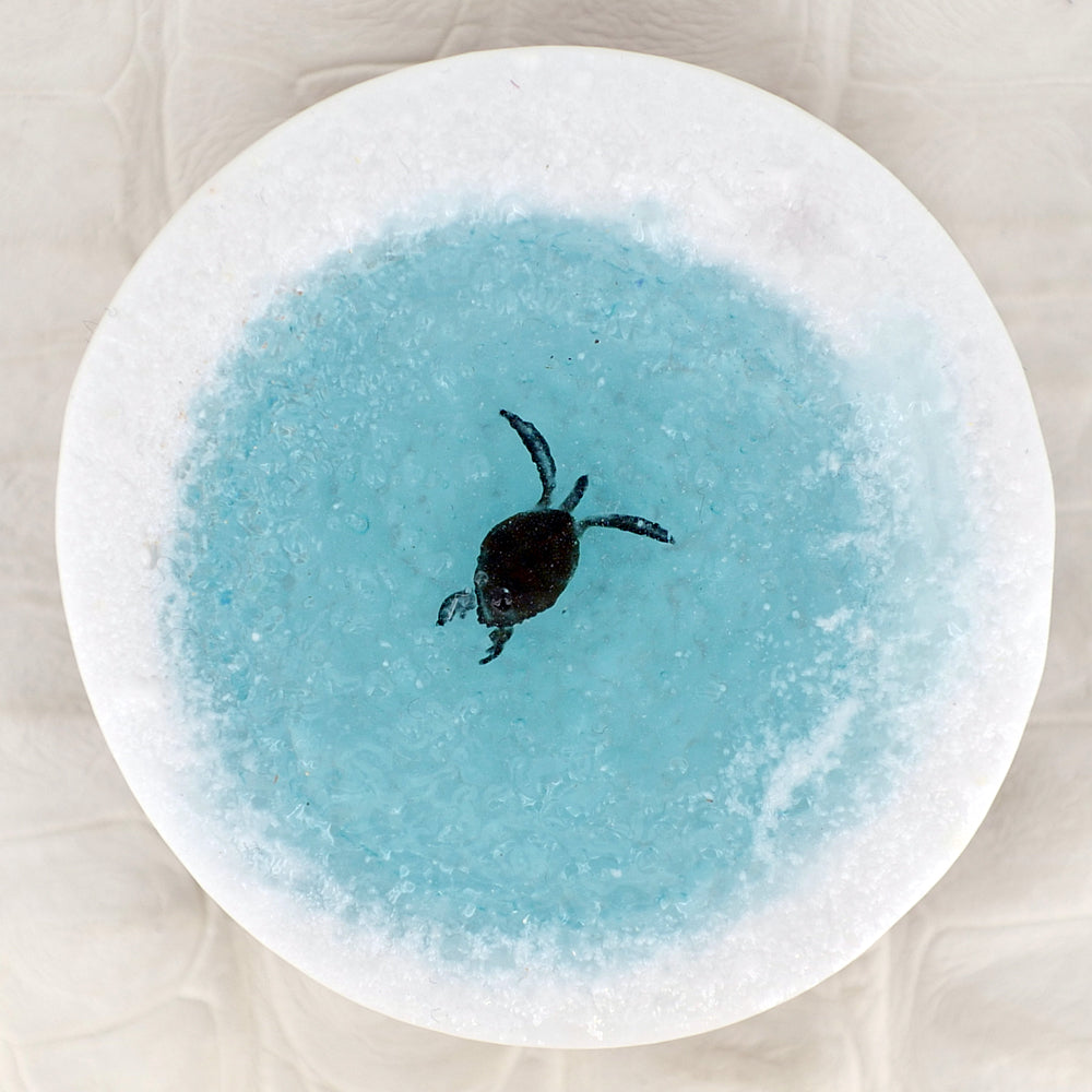 TIDE_POOL（plate032）