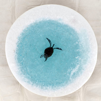 TIDE_POOL（plate032）