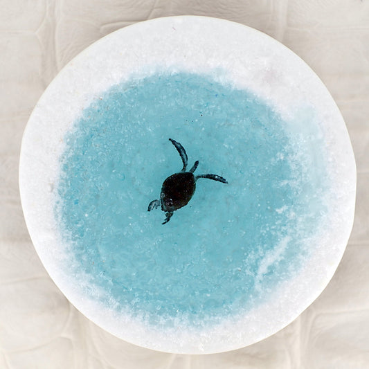 TIDE_POOL（plate032）