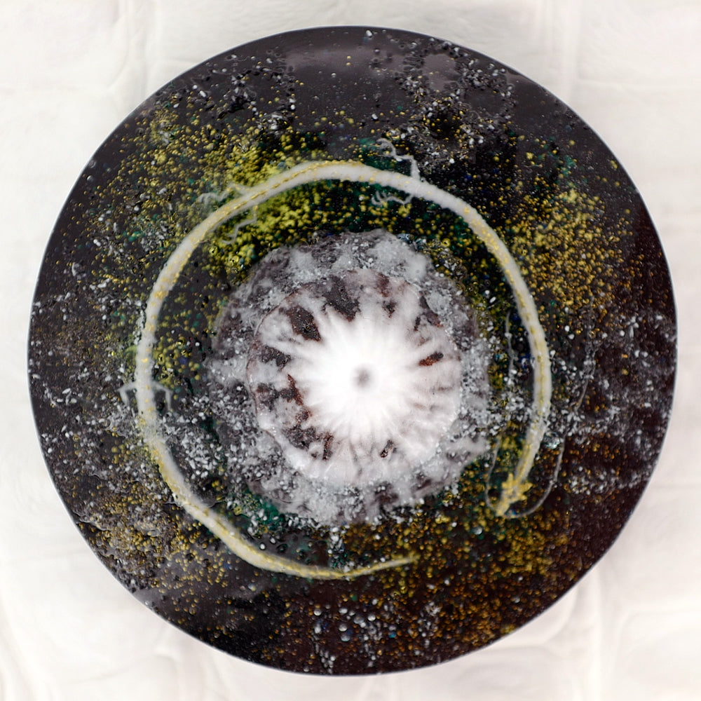 SPACE_DRAGON（plate033）