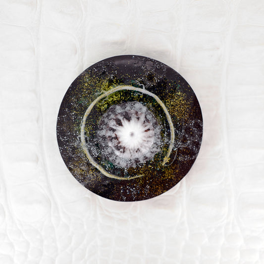 SPACE_DRAGON（plate033）